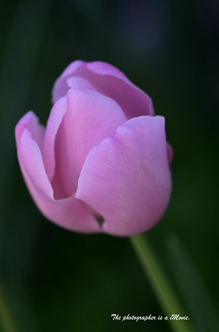 K5__0557a.jpg