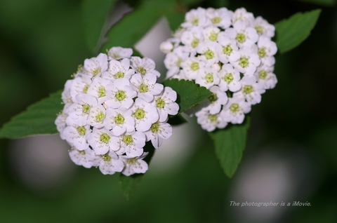 K5__0718.jpg