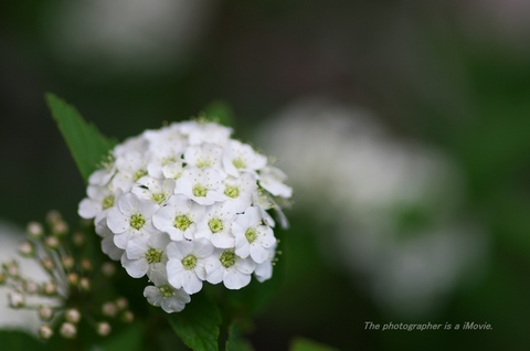 K5__0733.jpg