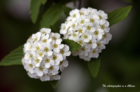 K5__0761.jpg