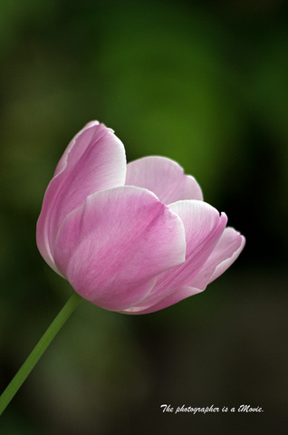 K5__0839.jpg