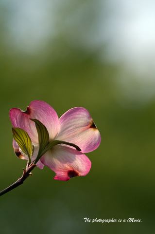 K7__3705.jpg